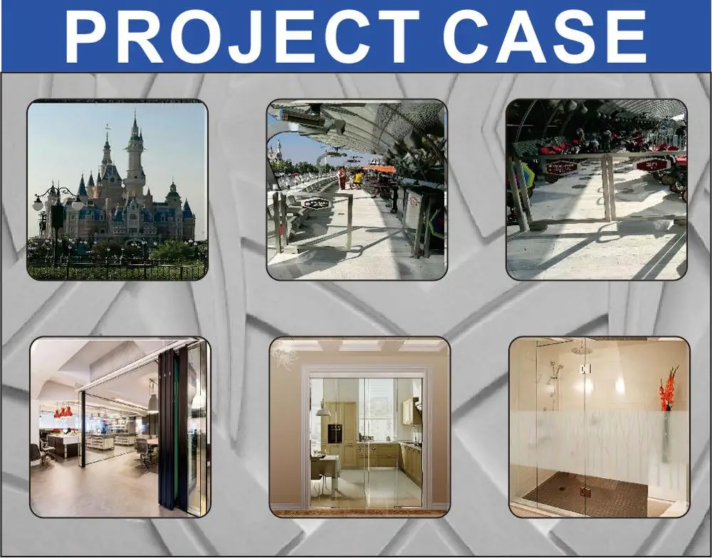 project case