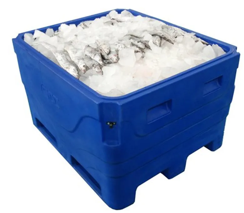 Large fish cooler box for frozen