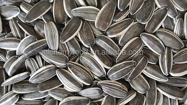 black oil sunflower seeds ton price buy black oil black oil sunflower seeds ton price buy black oil