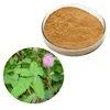 Factory Wholesale 100% Natural Mimosa Tenuiflora Hostilis Root Bark Extract Powder