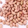 groundnut kernels 1kg price importers in uae