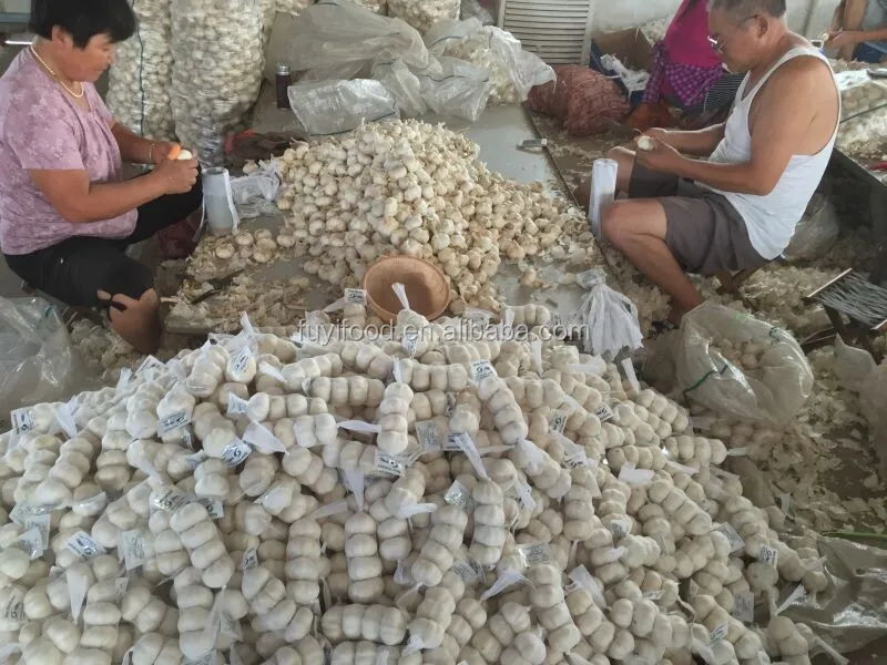 10kg Mesh Bag Red Skin Garlic Buy 10kg Garlic,Red Skin Garlic,Garlic