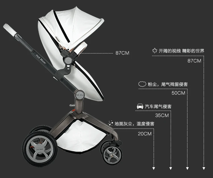 2 in 1 Luxury Baby Stroller With Separate Carrycot Baby Carriage High-landscape Pram