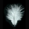 Decoration Feather Material Top Level Quality Colorful Turkey Marabou Feathers