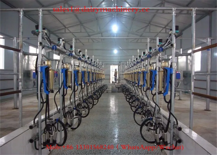 milking parlor HL-G2 (13).jpg