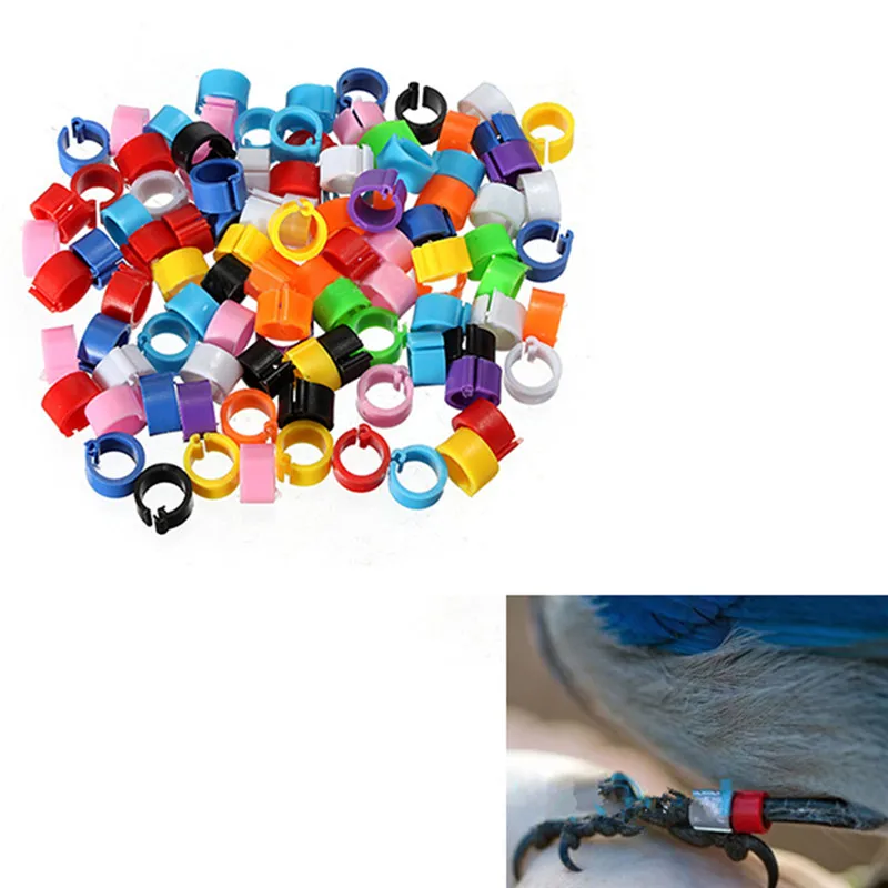 China rfid animal ring tags carrier pigeon ring tags with customized colors for pigeon tracking