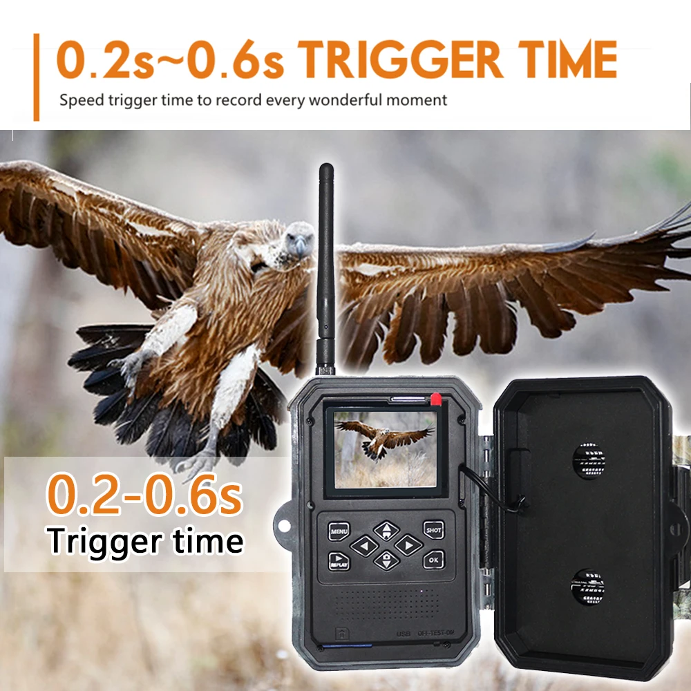 770-3G---5.jpg