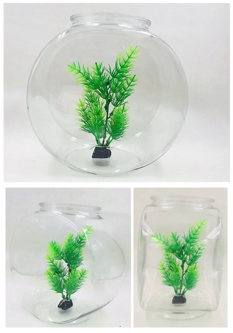 Clear Fish Bowl   (2).jpg