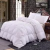 Home Use 300GSM Single Needle Quilting Microfiber Filling Comforter