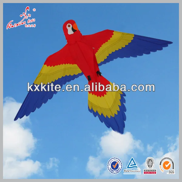 thai kite birds