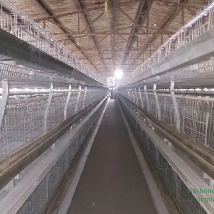 H type chicken cage.jpg