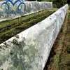 Guangzhou HDPE garden net anti-insect mesh agricultural greenhouse net