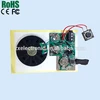 Adjustable Human Body Small motion sensor sound IC chip