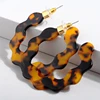 Kaimei Ethnic Style Acetic Acid Colorful Hoop Earrings Acrylic Acetate Geometric Round Brown Leopard Acrylic Earrings Studs