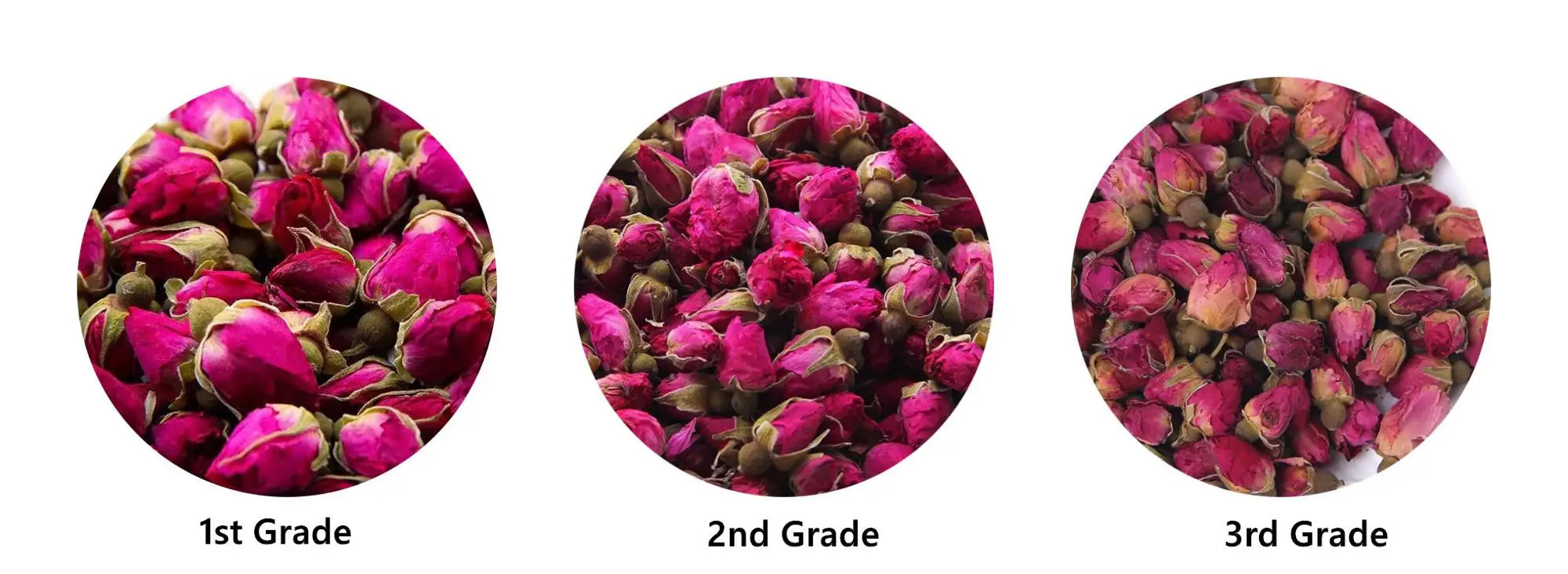 3 grade.jpg