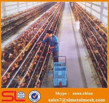 Broiler Poultry Farm Shed Design / Layer Egg Chicken Cage 