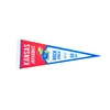 Promotional printed triangle banner blank felt flag from Wenzhou Fly