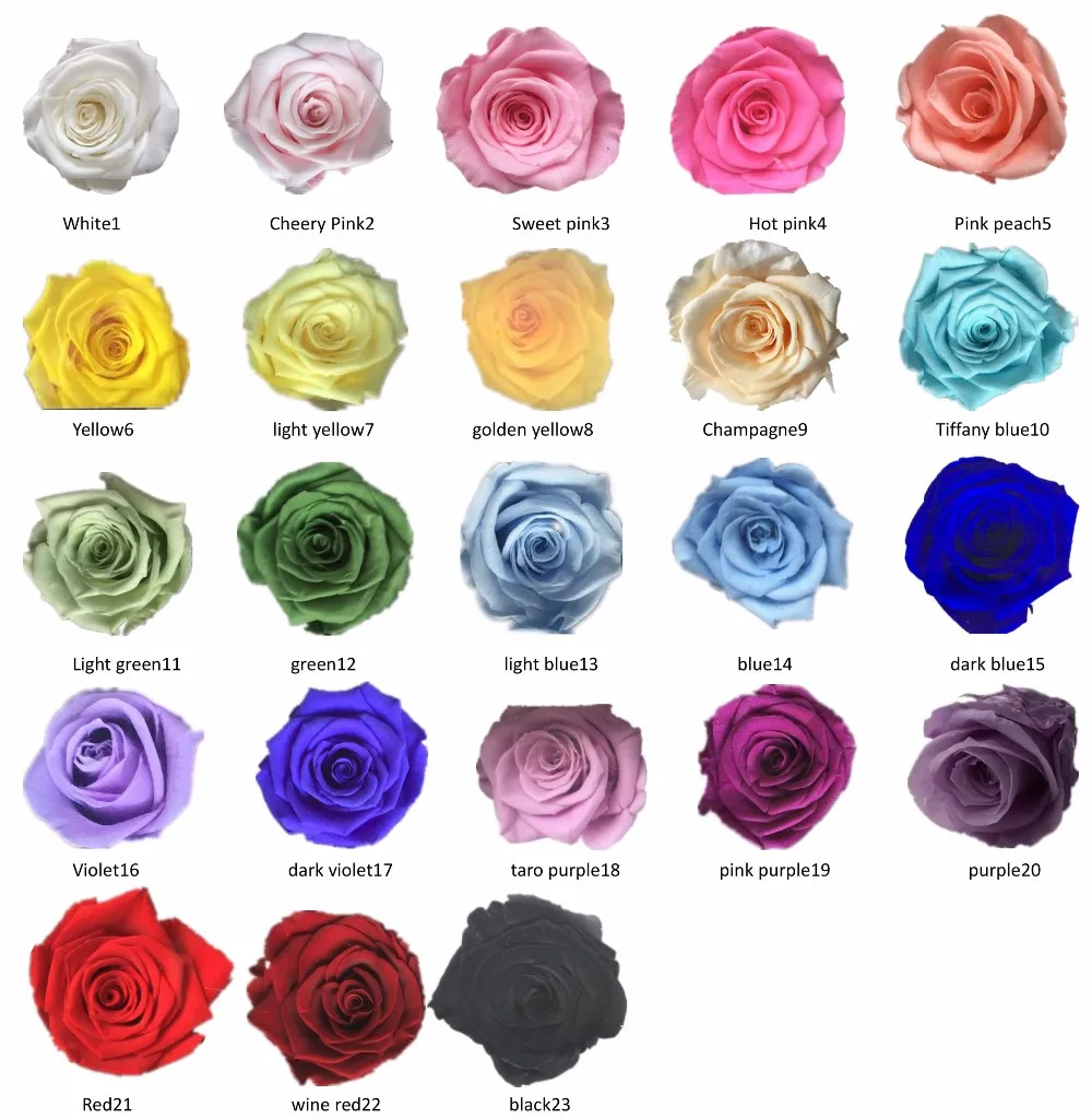 Rose Color Chart