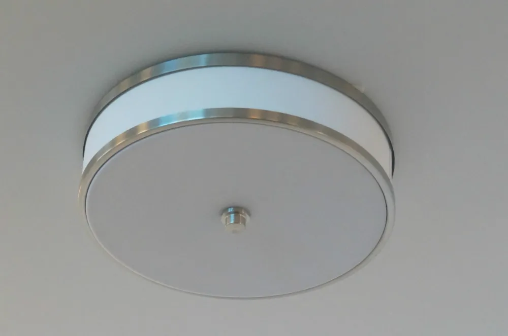 Factory Direct Price Modern Art Design Simple Large Ceiling Lamp