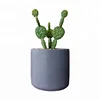 Indoor realistic mini bonsai decorative artificial cactus