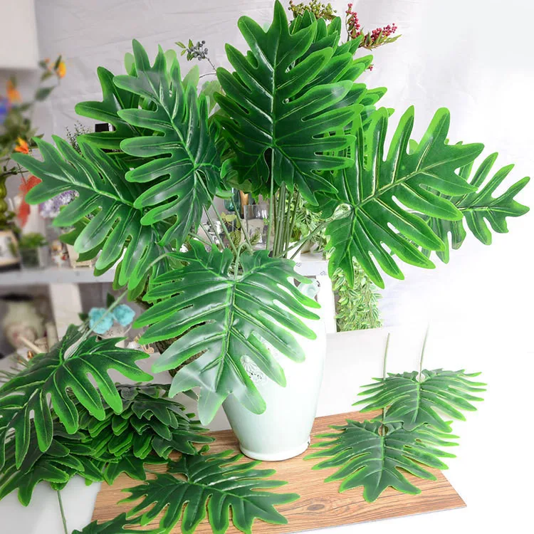 monstera (1).jpg