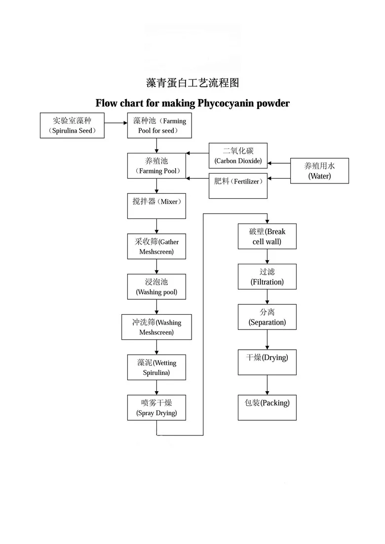 Flow Chart of Phycocyanin.jpg