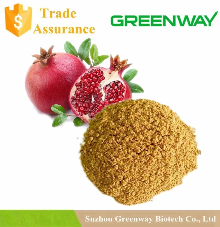 Ellagic Acid Powder.jpg