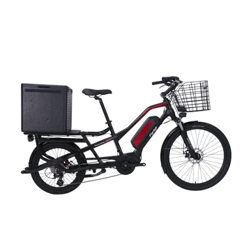 electric family cargo bike