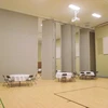 Customized Recreation Area Hard Case Folding Partition Wall Movable Partition for Ballroom/Speaking Hall