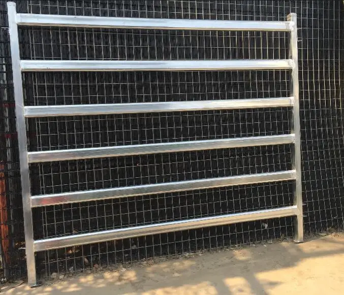 cattle panel094 .jpg