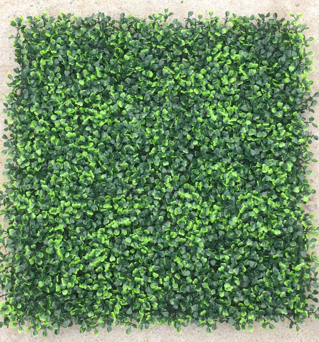 boxwood panel  (8).jpg