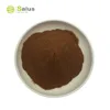 Wall-broken Ganoderma Lucidum Spore Powder Capsule