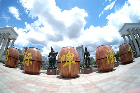 F2.8 fixed lens  (18)