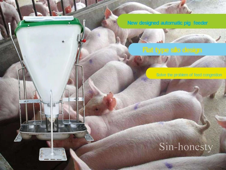 New designed automatic pig equipment animal feeder for pig feeder
