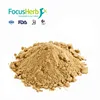 Great burdock Achene P.E./Extract CAS NO:20362-31-6 for Medicine grade
