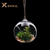 Custom Home Interior Decorative Artificial Plants Vase Hanging Clear Glass Ball