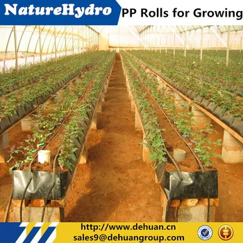 Hydroponic Gardening A Helpful Guide To Start A Small Garden Indoors