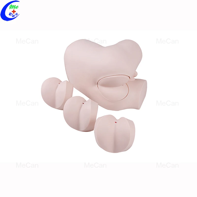 RectaL Touch Model