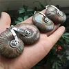wholesale Madagascar polished natural ammonite fossils stone pendants