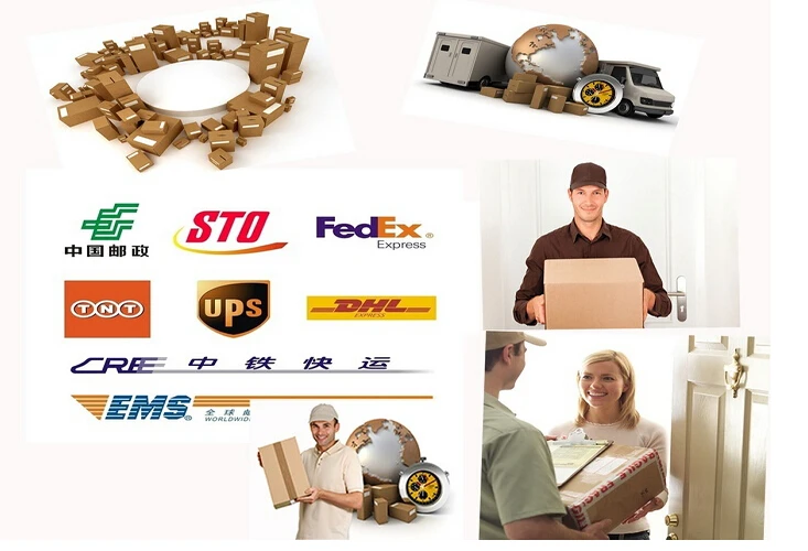 Artificial lure PR-BSA 60mm-90mm Custom speed shad free sample soft fishing lure