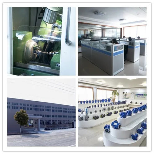 company information