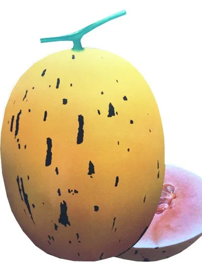 hybrid yellow skin sweet melon seeds for planting hami melon