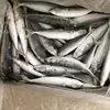 /product-detail/frozen-iqf-scomber-japonicus-pacific-mackerel-for-malaysia-supermarket-62061120131.html