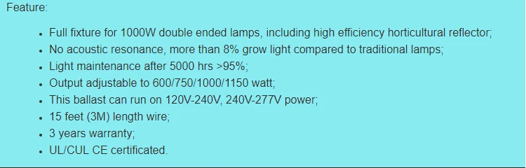 1000w ballast1.jpg