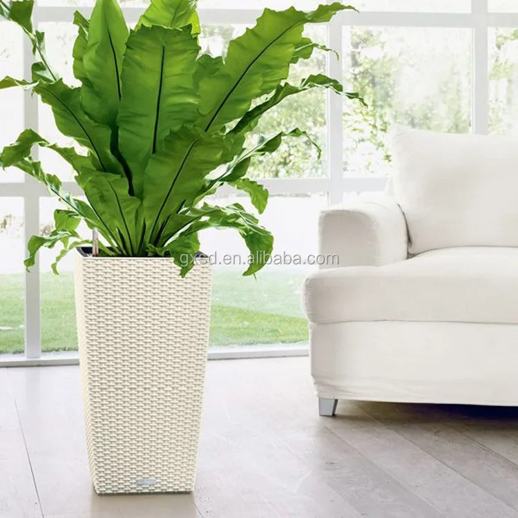 SDGP160599-AL living room green decoration indoor planters 02.jpg