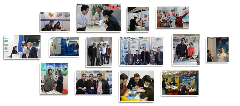 7-12 t / h Aquatic poultry small feed mill plant