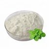 Manufactory supply Organic White Mint Extract Powder