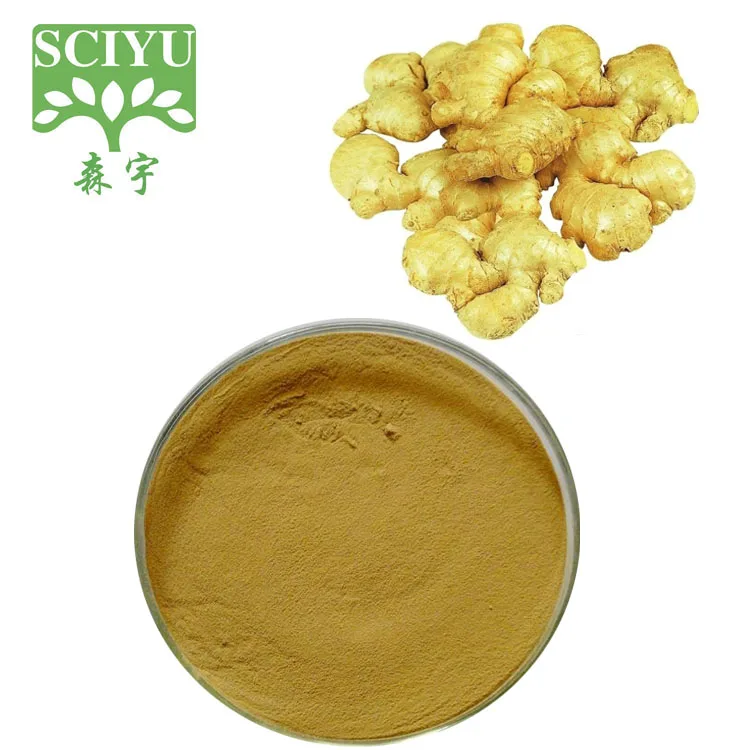Factory Supply Ginger Extract Red Ginger Extract Powder Buy Ginger