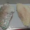 Frozen Parrot Fish Fillet Indonesia