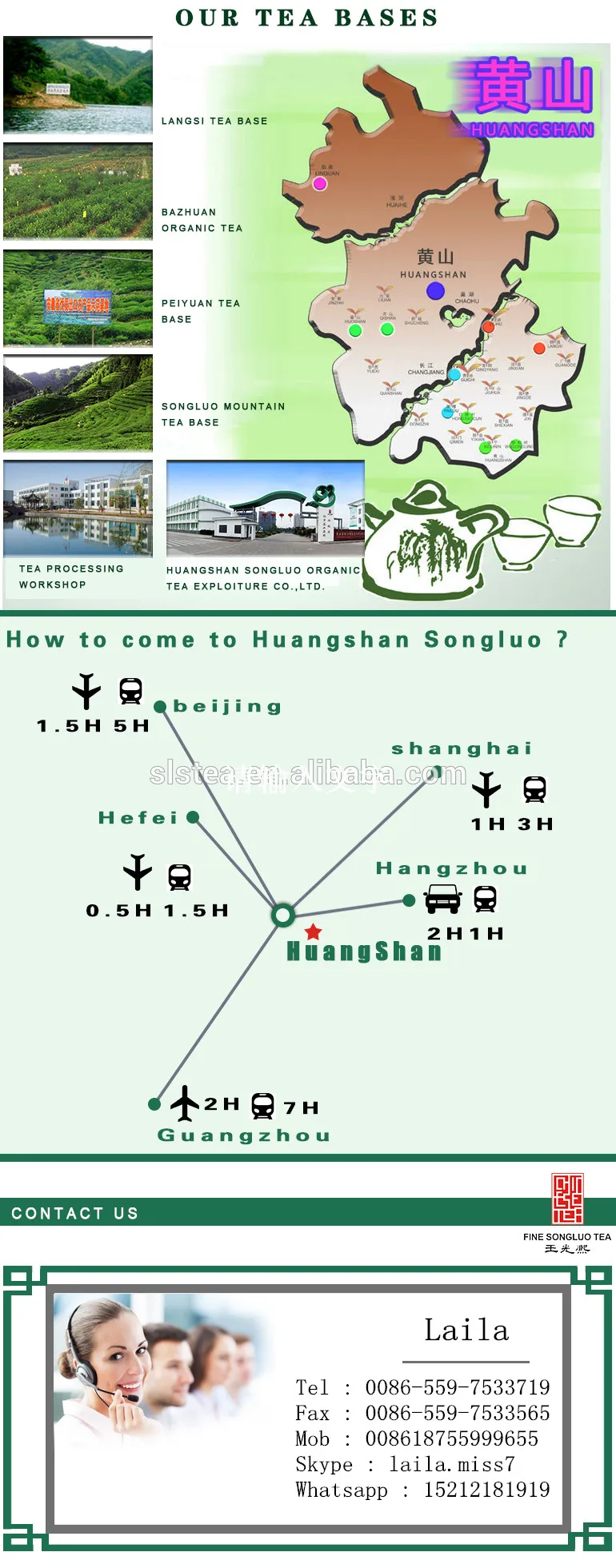 Best Chinese tea brands WANGGUANGXI chunmee green tea 41022 8A top quality - 4uTea | 4uTea.com
